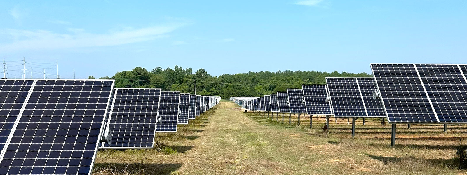 Solar Panel Farms | Kellis Vegetation